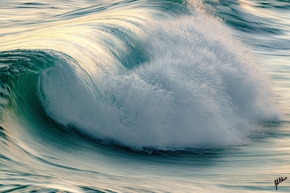 Emerald Curl