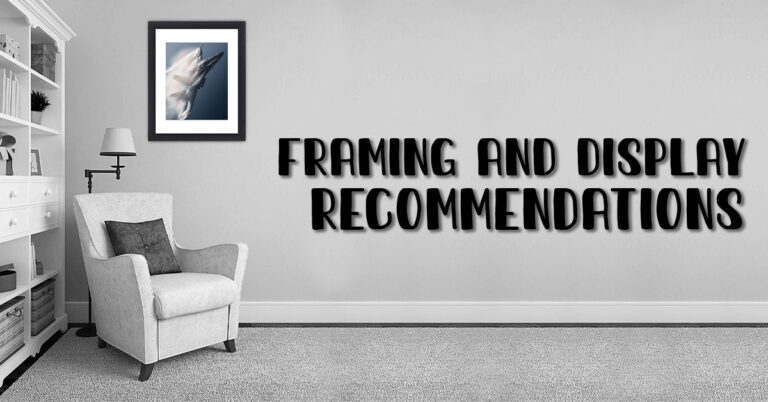 Framing and Display Recommendations